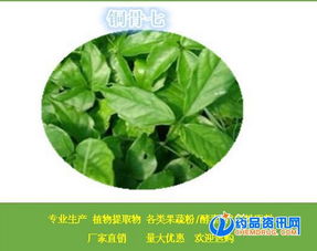 铜骨七提取物 品质卓越的食品级植物原料供应