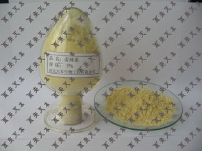 聚焦姜辣素、姜酚、姜醇与姜烯醇 药用原辅料网推动制药领域供应链高质量发展